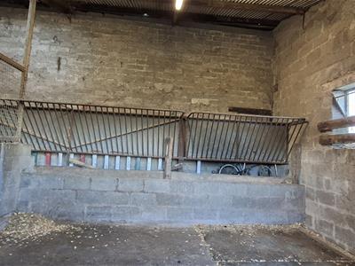 Picture 19